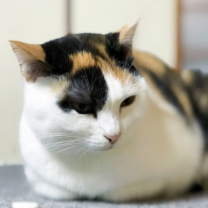 5e487610 67aa 47ea aabd 5c75c749cb74 1516061539229