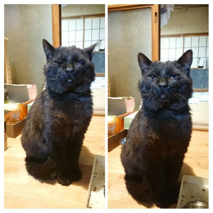 5e48cf7f f07b 44d2 91b7 651348c2d910 1622039724064