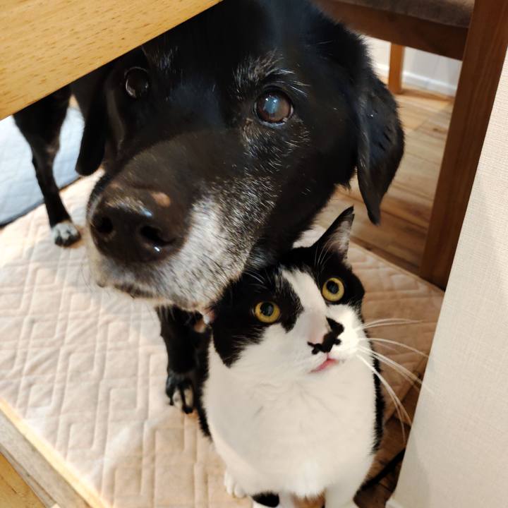 5e48e0a7 f974 43e4 b2da cba5ac1e1475 1763713863335