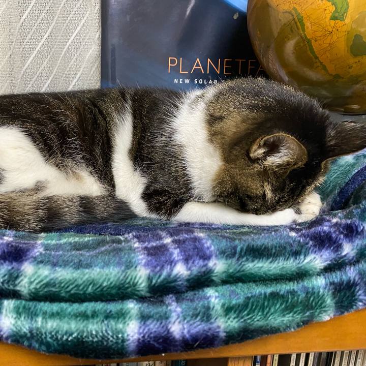 5e4907f6 89af 40e3 a003 f14108e9c97e 1636383783740