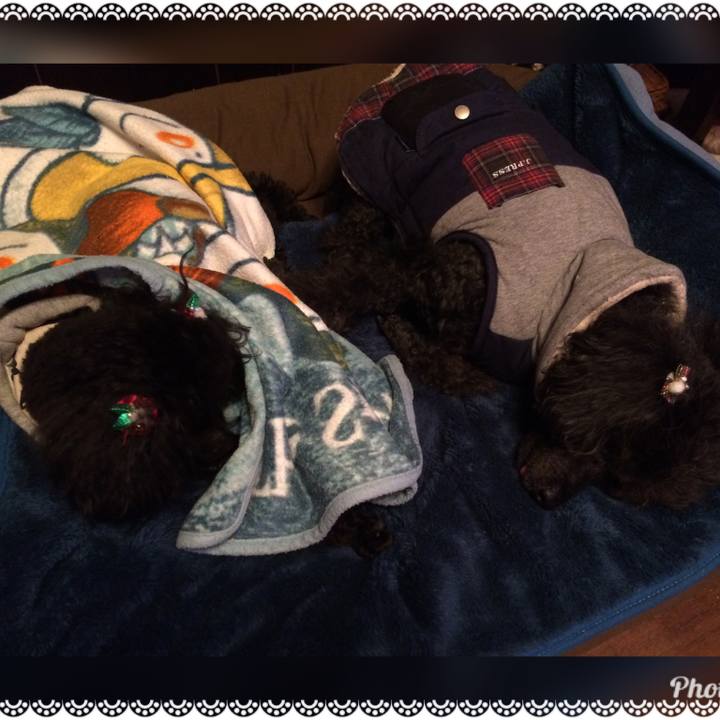 5e491263 4819 49a2 8666 37e26f9f761b 1545926169546