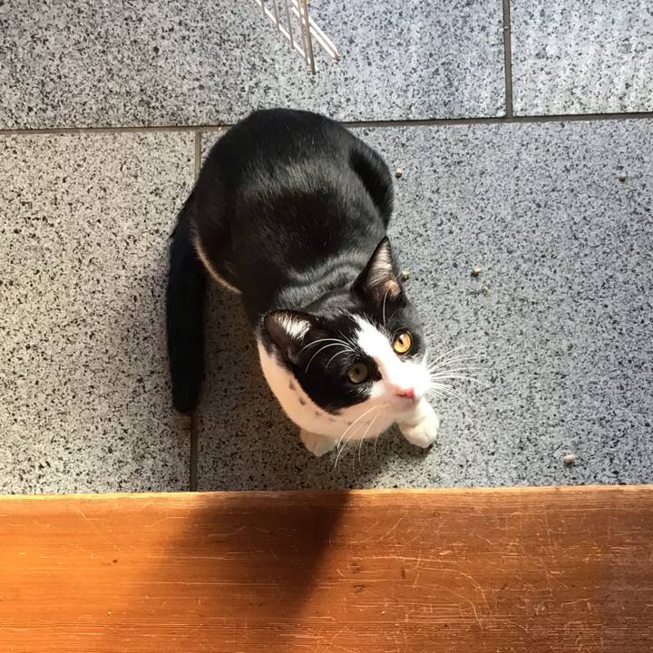 5e493ccf 2356 4234 8884 1d329d3a0257 1642140503960