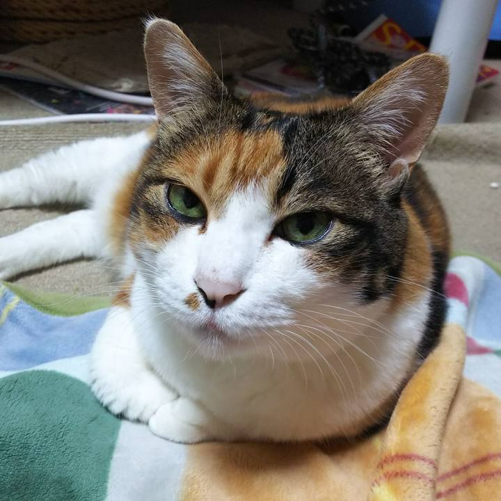 5e4962d7 3929 489f 8b0d a642a81390b0 1539263071048