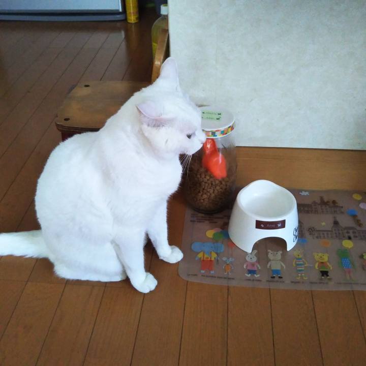 5e498548 c1da 4130 890c b8c561ba7e20 1565936616565