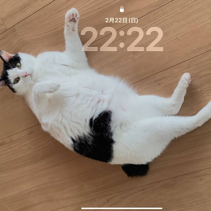 5e498c0b 1985 43cd 97cf cb8d43435005 1771767487397