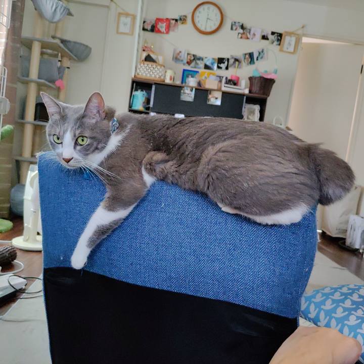 5e498cd4 9034 4151 ac33 dde48219e12a 1693642399504