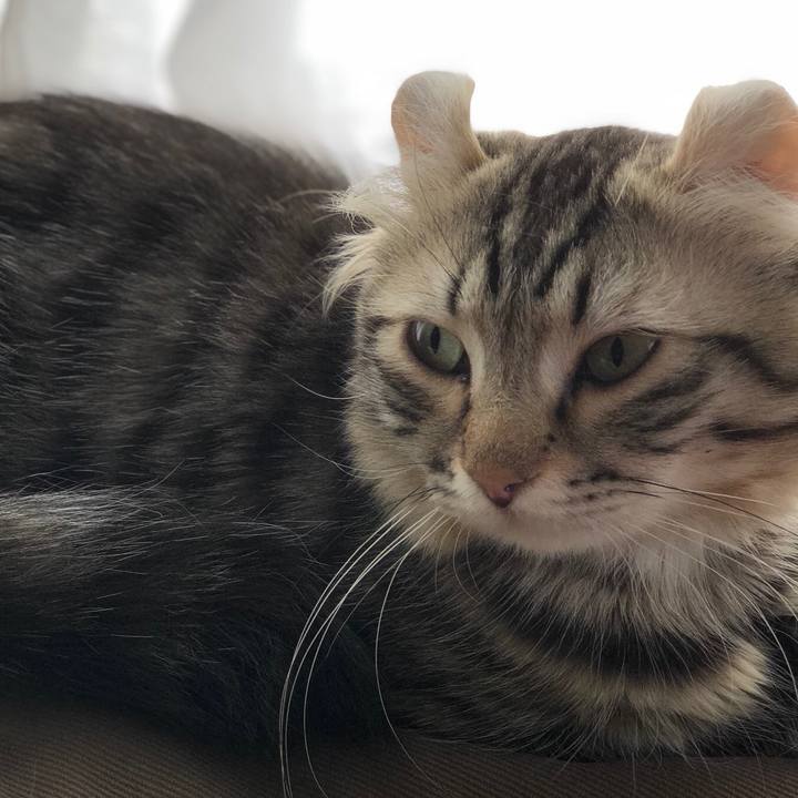 5e49c756 0d54 486d b531 46761204497e 1520221258019