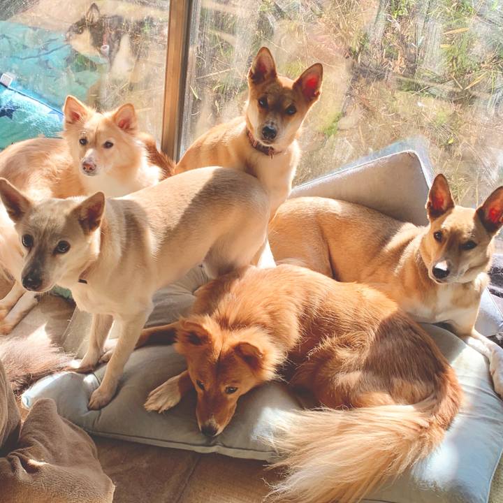 5e49ce10 5f74 44f3 a28d d2e91cfb33d8 1578193377226