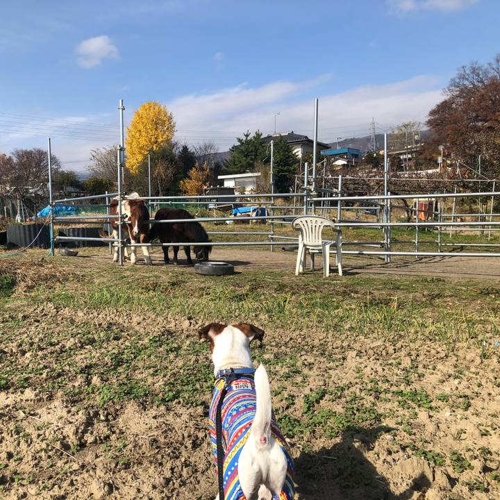 5e4a0d17 7964 4f78 bda7 65473223af8a 1574850727778