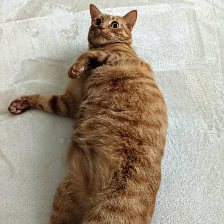 5e4a1c8b 9141 452d aad2 2f56d4a906d5 1617956229947