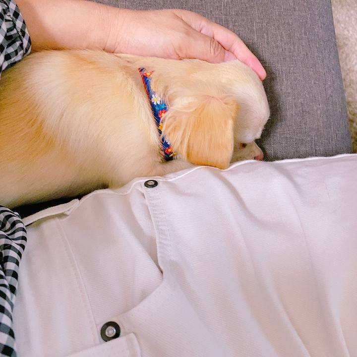 5e4a1fc9 4823 4daa b2e7 ea142a390a37 1630653723807