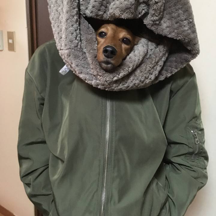 5e4a2c05 5d85 4a36 a55f bbf2665cfc76 1516414262771