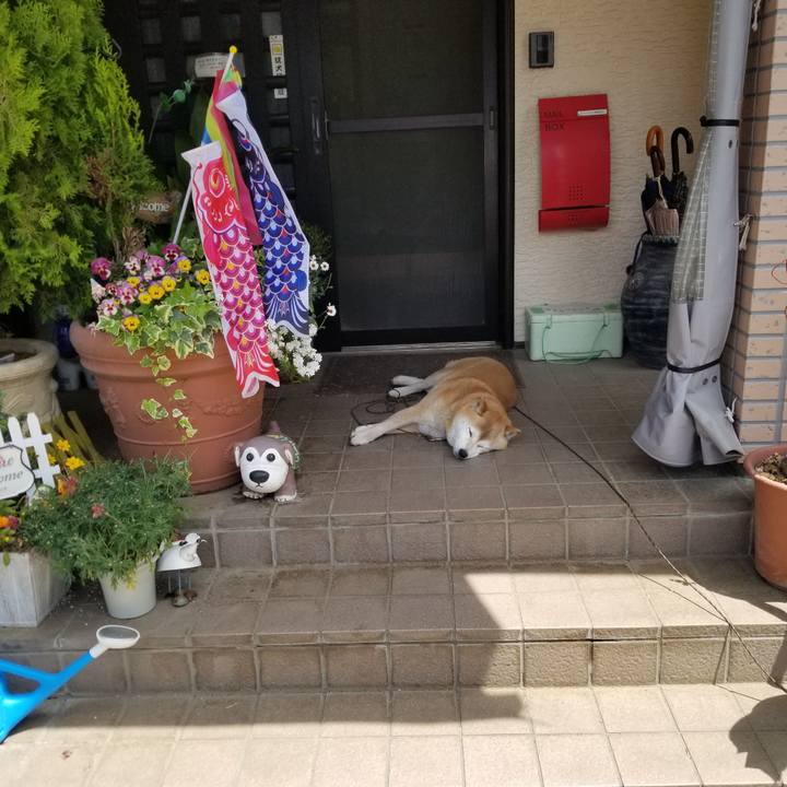 5e4a446c e67e 4421 bbe1 3c061ec1a86f 1683257816136