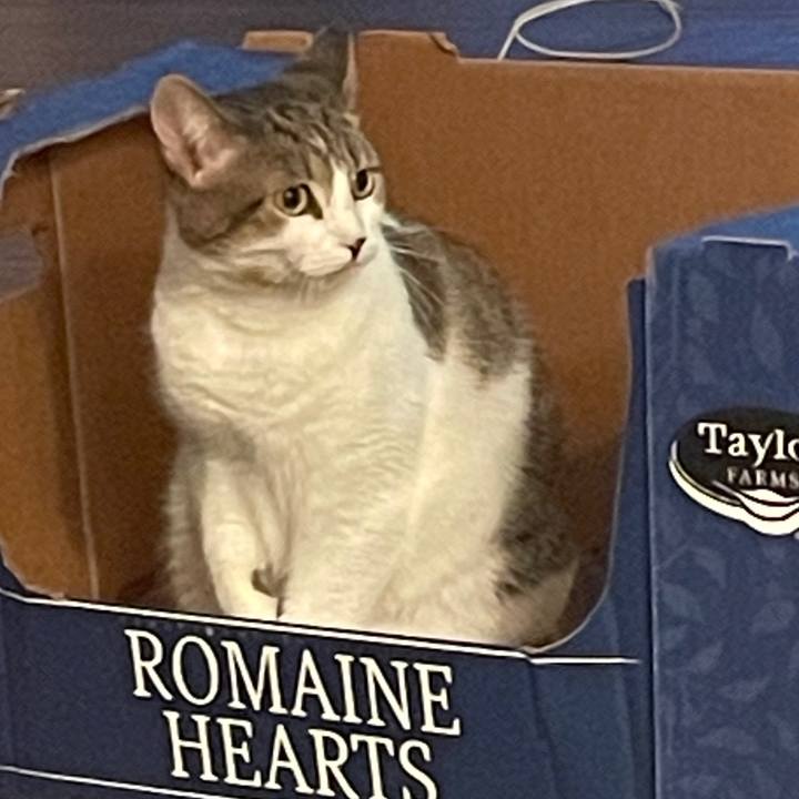 5e4a5d84 6b2d 49fd a0df 9ba585abe5a0 1743982439099