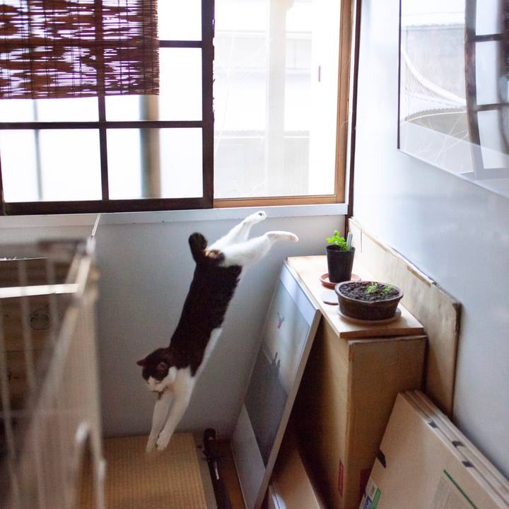 5e4acd53 225d 4124 ab10 8decb3ebdaa5 1581905023994