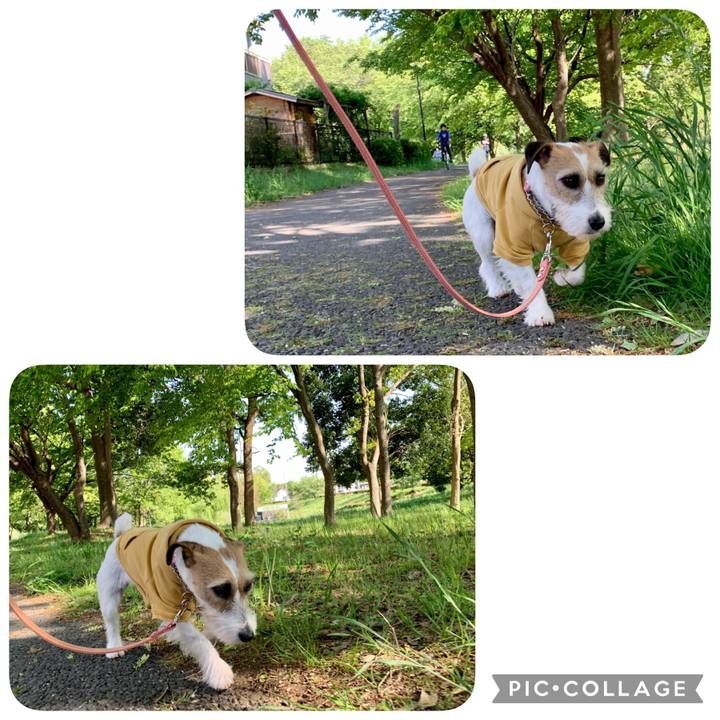 5e4ad779 5f3d 4c0f 8437 dbccb8c3944a 1618821444984