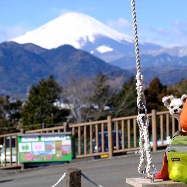 5e4ae6f5 1d30 48e8 84b1 9a370f1efcfb 1646142766612