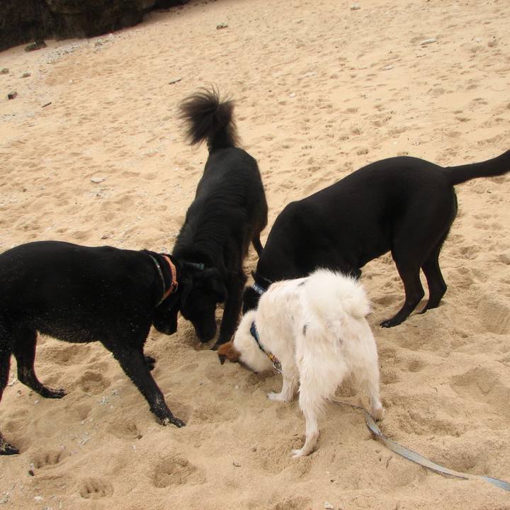 5e4b5ed0 9e14 4130 9c42 f6a387c77bc9 1526025458462