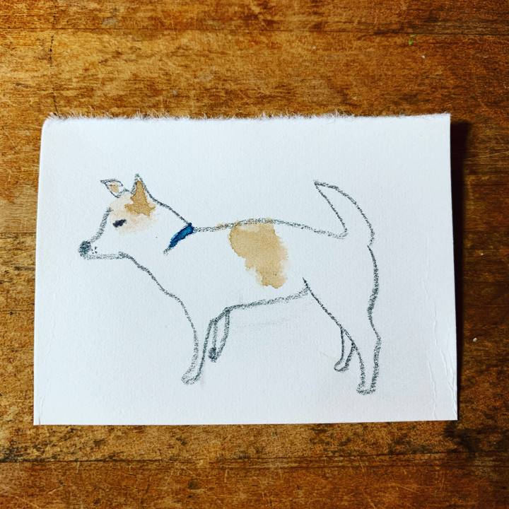 5e4bb5e3 9a1b 4db3 965c c3e30b9cfc42 1605002567582