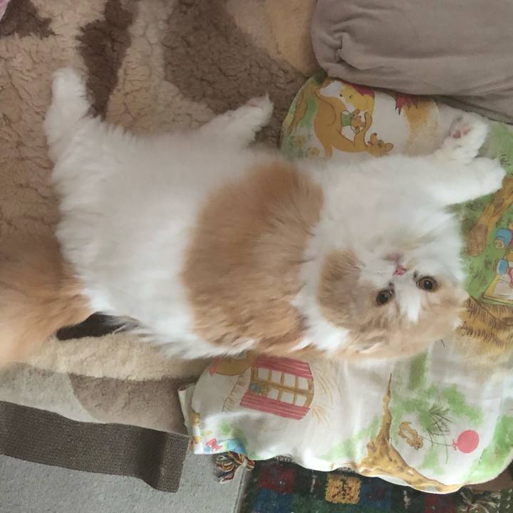 5e4c1e48 76bd 44e8 87d7 e22e8e6050a8 1628806710132