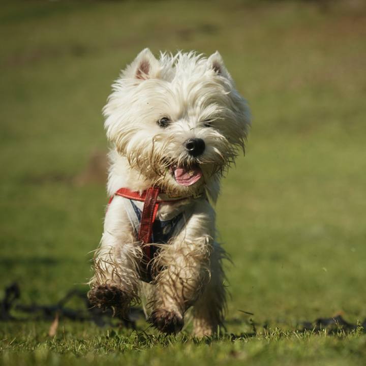 5e4c53a3 23e4 4897 8368 d821690015b1 1526043915732