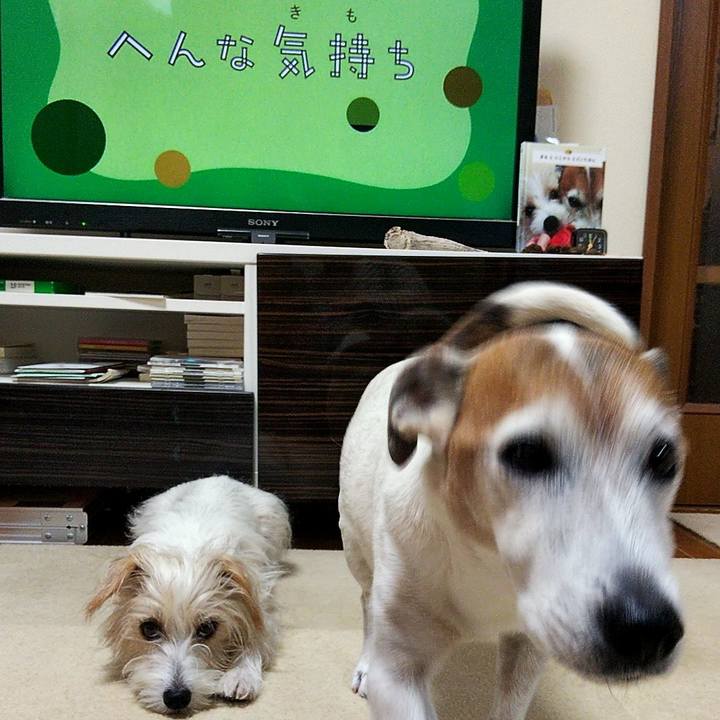 5e4c5eac 05e1 429a b860 dd00d8c2f0c7 1574115154131