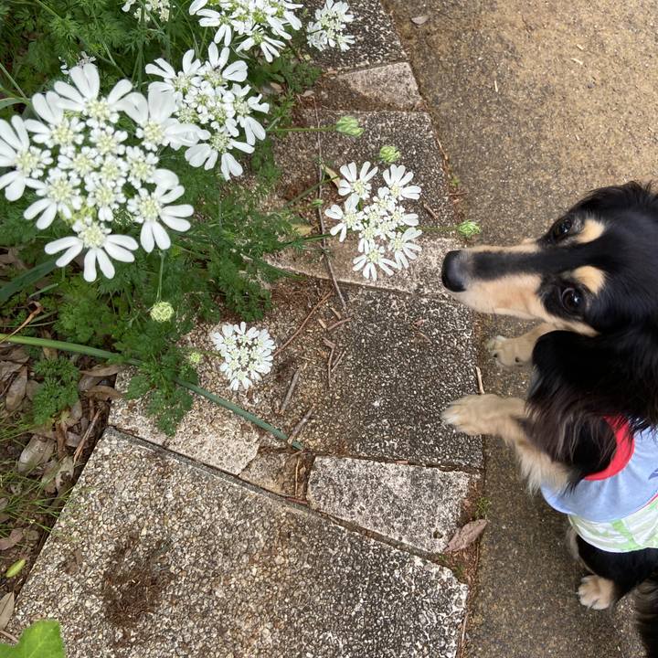 5e4ca585 4a4d 420a 913e 8bfd03f6482a 1715477438835