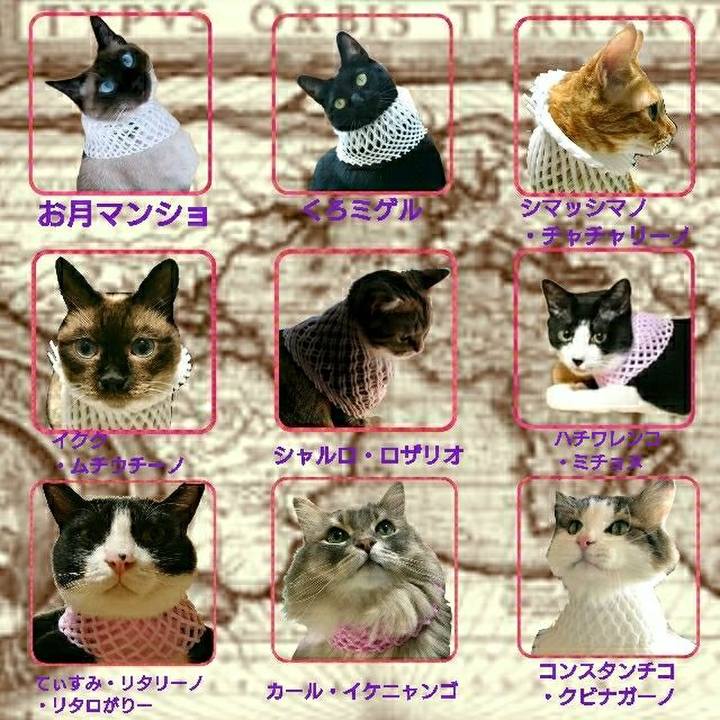 5e4cbd12 4df6 4711 bb11 82a4756c0fb1 1532494628913