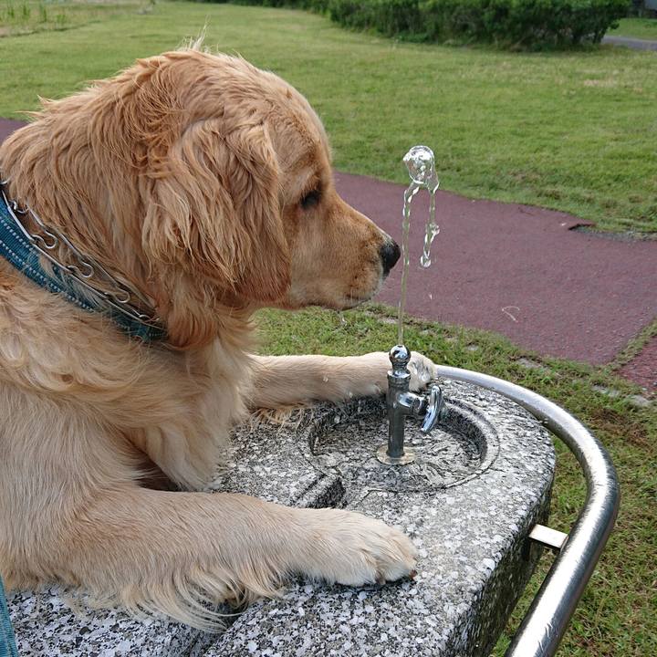 5e4cca36 306e 42f1 acf5 87e3d058bda6 1593229775806