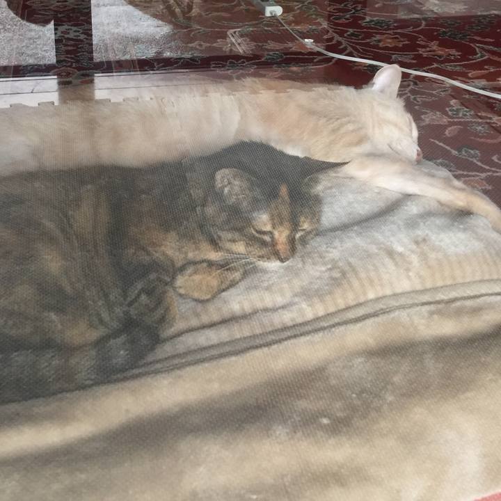 5e4cd160 e996 4a66 a964 e9e669d8a0b2 1628905002664