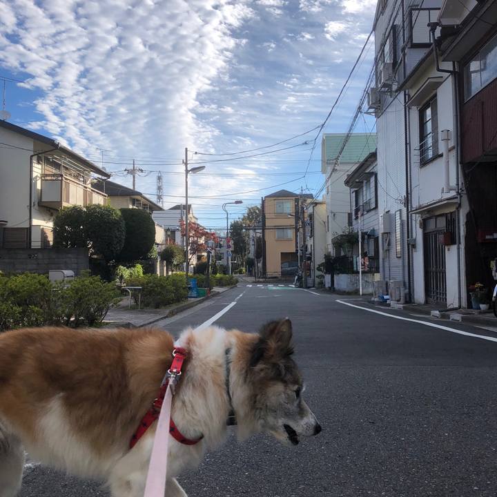 5e4ceee2 04c0 47fa 95d4 e08f8b84db93 1541029119219