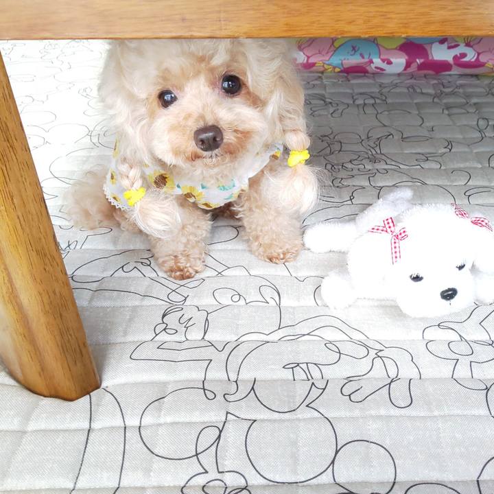 5e4d1290 bc09 4048 804c 6c8f0c1f3cf7 1566908006754