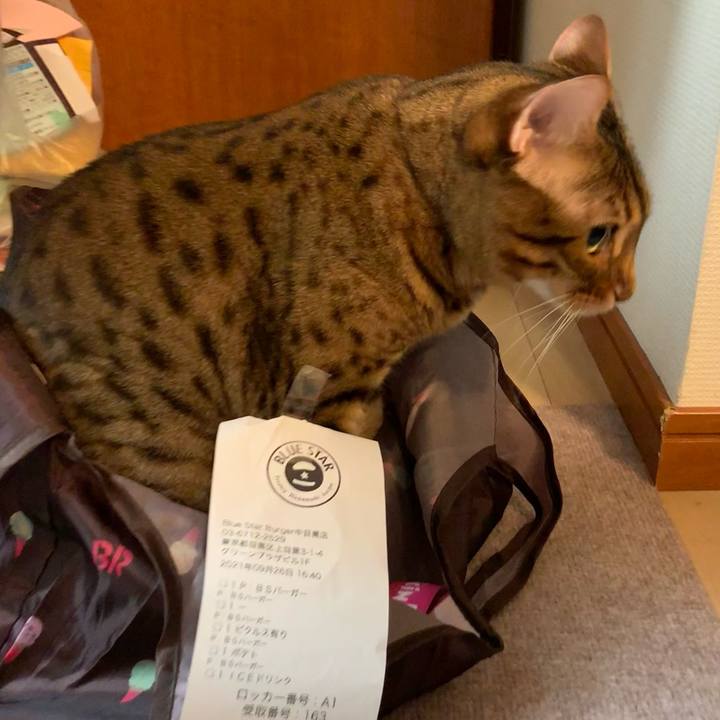 5e4d2546 7cee 4dff ba3d 525ba12287bf 1632648375220