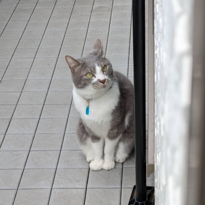 5e4d2a3f 240b 4885 9da4 64e244f28ef7 1741662654646