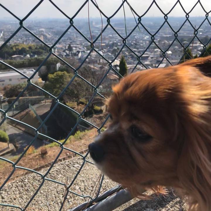 5e4d2c09 6c5e 471a 9acb 1c37c8e8b640 1644838606007