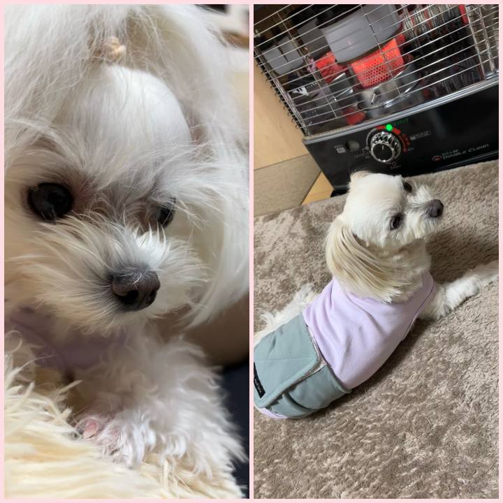 5e4d743a dcd5 42d2 8fa4 1f7b90258a7a 1762850486902