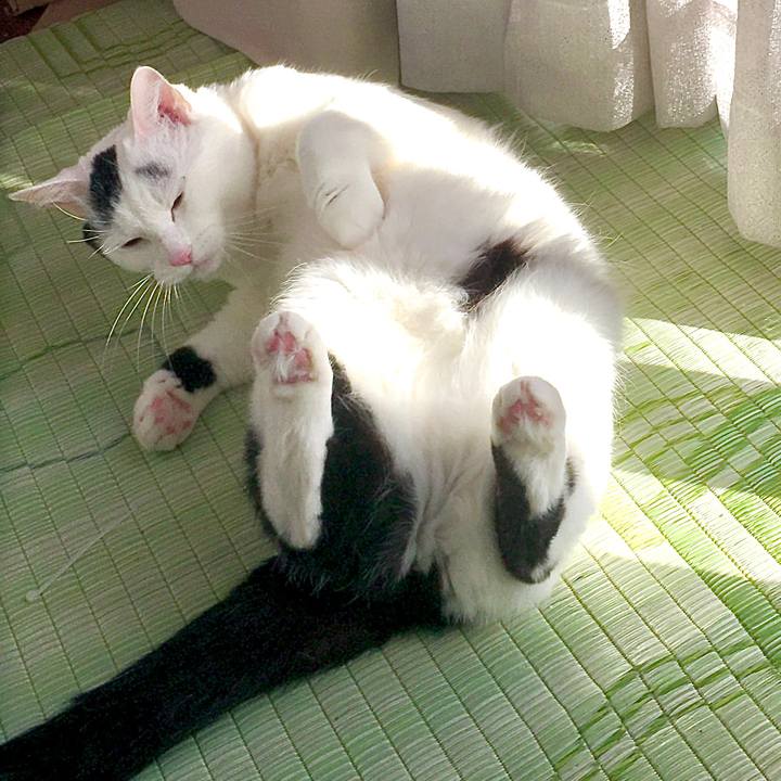 5e4db98c 07f4 40d4 8719 0301c8714486 1586503161381