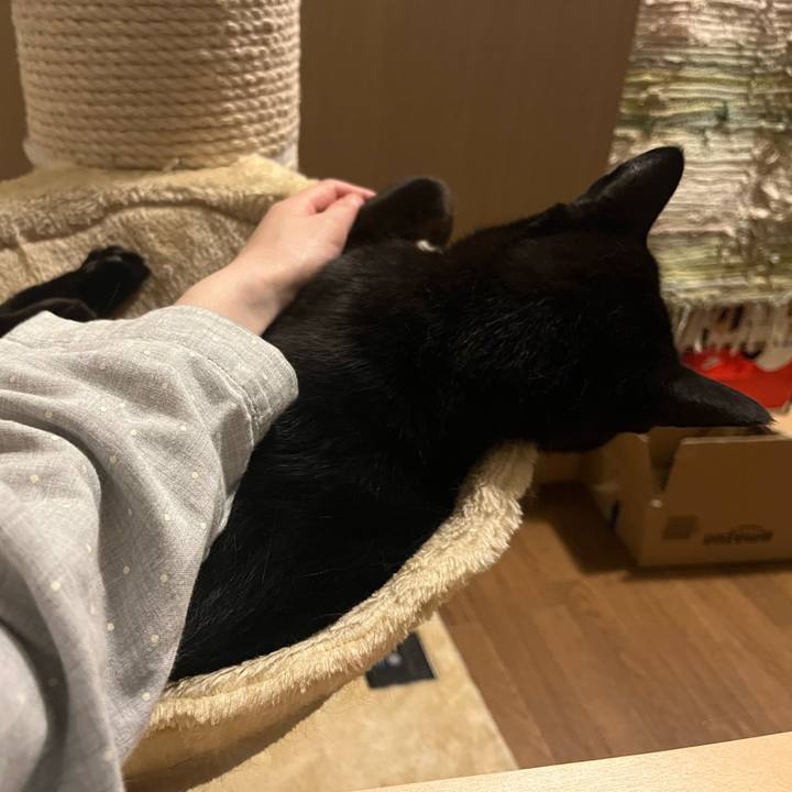 5e4e023e eca8 468a 8b7c db022db25275 1714402647486