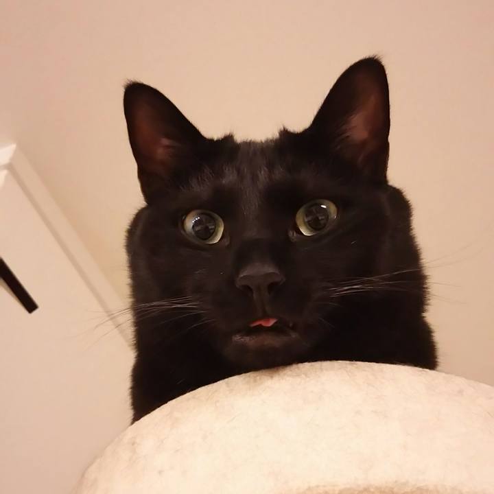 5e4e1d74 17ca 4bbb 9eb5 efb176e05b74 1529018498329