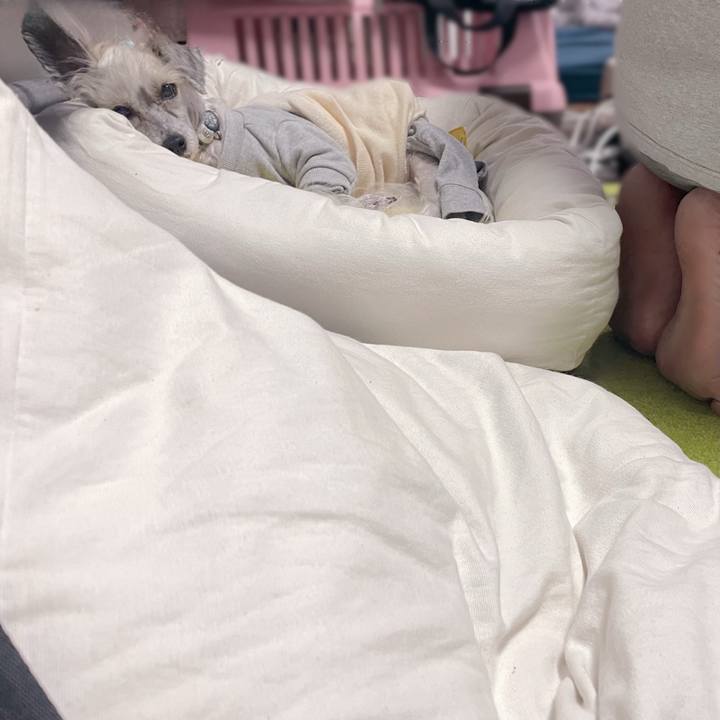 5e4e69b6 d21a 4635 b8f7 1d0840597822 1762147206883