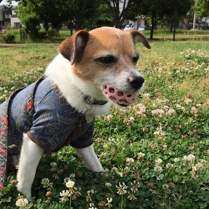 5e4e7299 4b15 4d85 9399 d9a941fb0bad 1559117705410