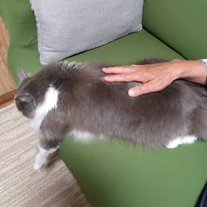 5e4e7319 4f71 406e 85fd be68f9692e14 1687347541736