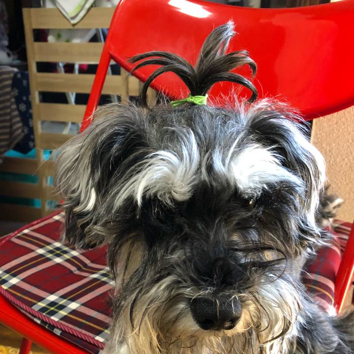 5e4e9c7e 3a01 4221 9392 d2834dc19231 1529226538011