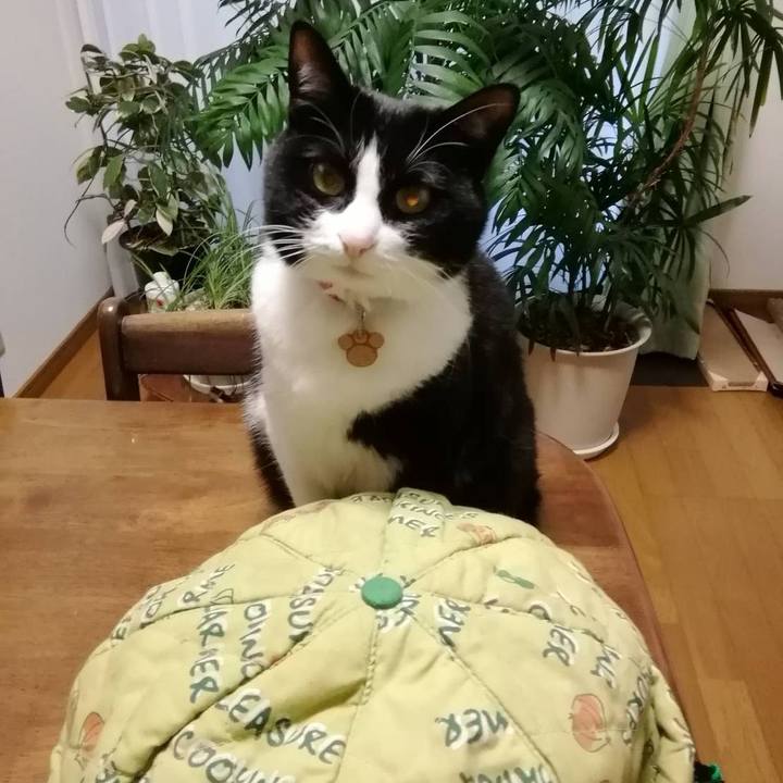 5e4ebde9 977c 4bec 9f32 faf2b0211c38 1579873108311