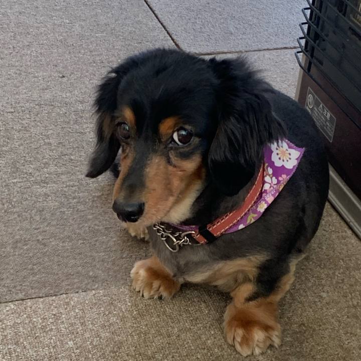 5e4edf4f af63 4e76 8ade c4fad4d9e0be 1584227528039