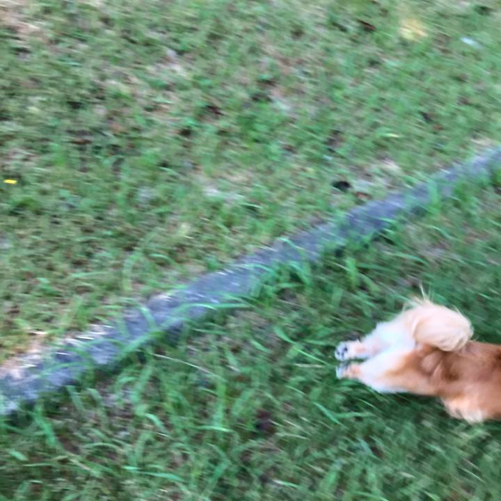 5e4efce3 9909 4977 9131 810fb00c6028 1568588506588