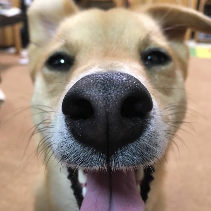 5e4f1594 4bc6 4051 b361 acb4b4919e05 1523770886121