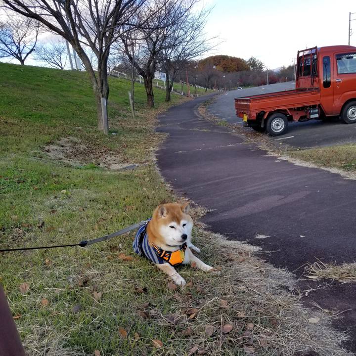 5e4f15f1 f76e 45c3 afcc 5ef911832aad 1636697023405