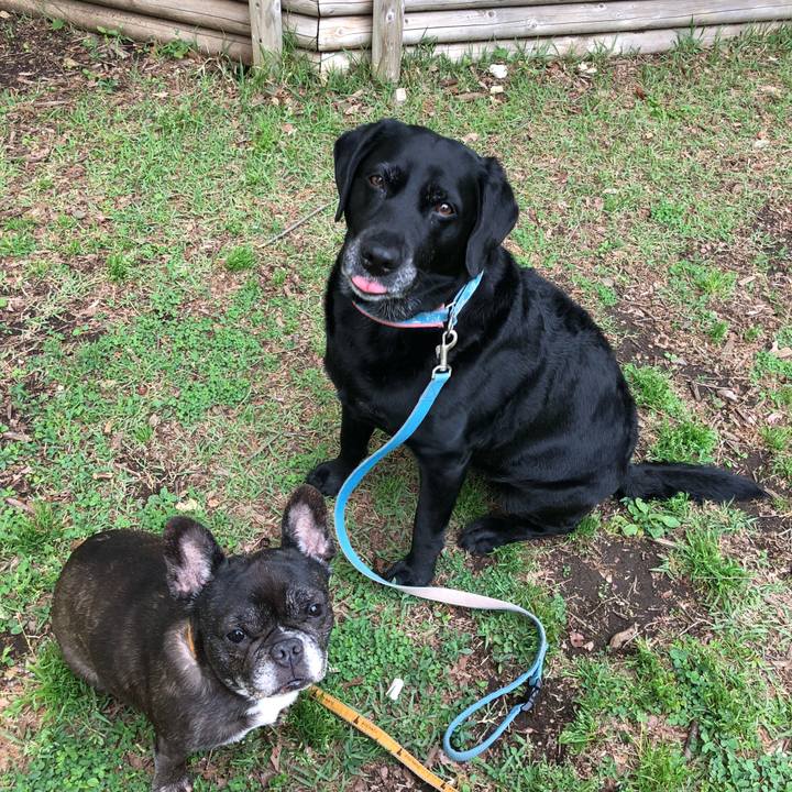 5e4f18eb 23d5 4e27 a2b3 6af2ebe7cf00 1524743349623