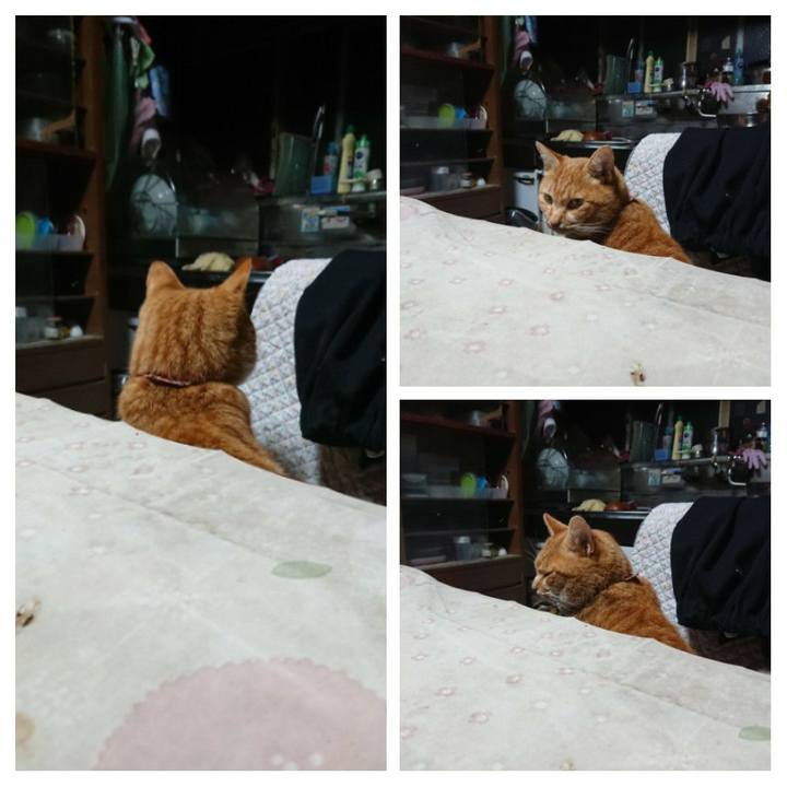 5e4f2a4e ac51 49f6 9018 8eab4c4b77a7 1607459616532